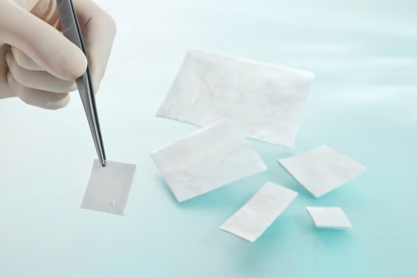 Lyoplant® Onlay-Substituto de duramater biológico dois em um: suturável ou não.